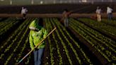 Tracking the trouble and hope that define the American farm