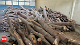 Forest officials recover 4 tonnes of sandalwood in KR Puram, the largest seizure in Bengaluru | India News - Times of India