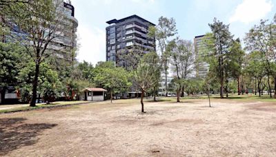 Olvidan el Parque Líbano; árboles muertos e inseguridad