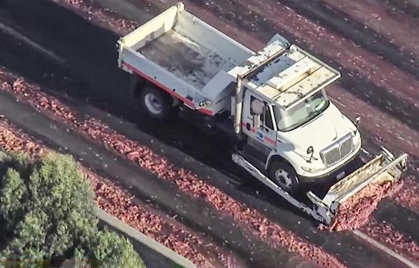 "Meat spill" shuts down northbound lanes of I-880 in Oakland