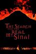 The Search for the Real Mt. Sinai