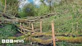 Littleworth Nature Reserve anti-flood plan to protect homes