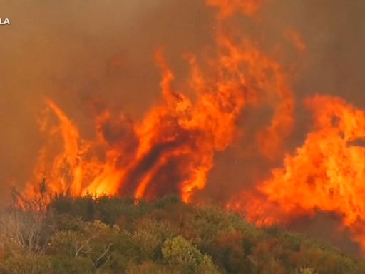 Southern California's Line wildfire surpasses 20,000 acres amid evacuation orders