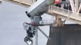 VIDEO: Mujer queda colgada de un puente por 45 minutos tras sufrir accidente en su tráiler