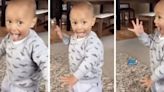 Toddler’s sweet haka performance is making people’s day on TikTok: ‘Cuteness overload’