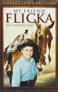 My Friend Flicka