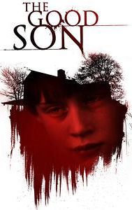 The Good Son (film)