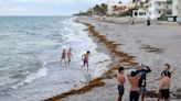 3,600 truckloads of sand: How Hillsboro Beach plans to beef up its eroded beach