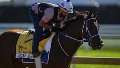 How to bet 2024 Preakness Stakes: Top trifecta picks, best exacta odds, sleepers to win and more props | Sporting News