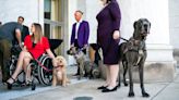 Canines unleash dog diplomacy at Capitol in push for animal protection bills