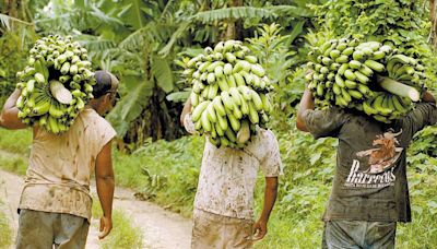 Opinião - Sylvia Colombo: Como uma empresa dos EUA moldou imagem pejorativa da América Latina