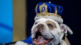 Drake University crowns 2023 Beautiful Bulldog Champion