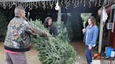 O Christmas tree: Drought, theft, wine, and barbed wire | Mark Hinson