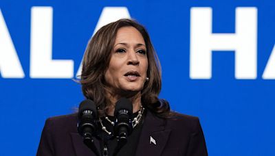 Kamala Harris slams Donald Trump's "unhinged" Minnesota attacks