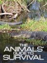 The Animals' Guide to Survival