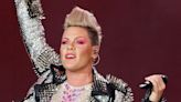 Pink Absolutely Stunned After Fan Throws Mom's Ashes At Her During Performance