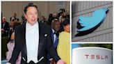 Tesla investors plead with Elon Musk to leave Twitter and refocus on the electric car company in 'a vote of no confidence in Elon'