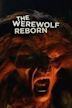 The Werewolf Reborn!