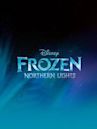 Frozen Northern Nights