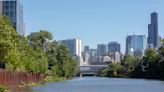 Study shows natural shorelines support greater biodiversity in the Chicago river