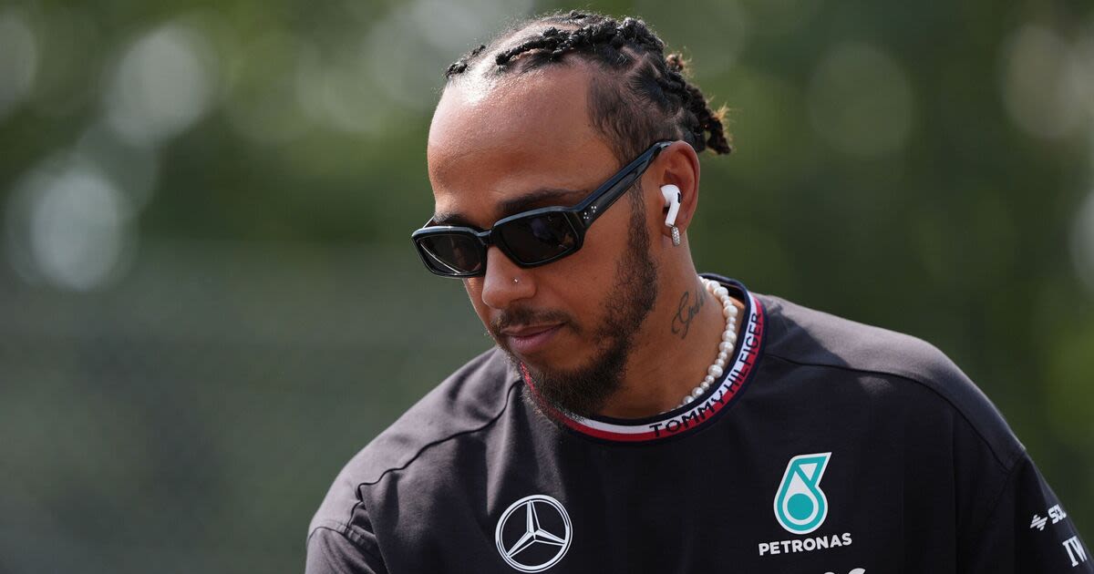 Lewis Hamilton 'feels really bad' after he was given special gift by fan