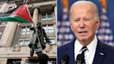 GOP rep calls on Biden to denounce, reject cash from progressive groups fueling anti-Israel protests