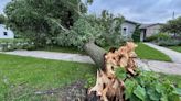 Madison schools closed Wednesday after powerful storms knock out power, close roads in region