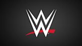 WWE permitirá a algunos talentos conservar sus nombres una vez abandonen la empresa