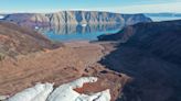 Las plantas empiezan a sustituir al hielo en Groenlandia, y será mucho peor