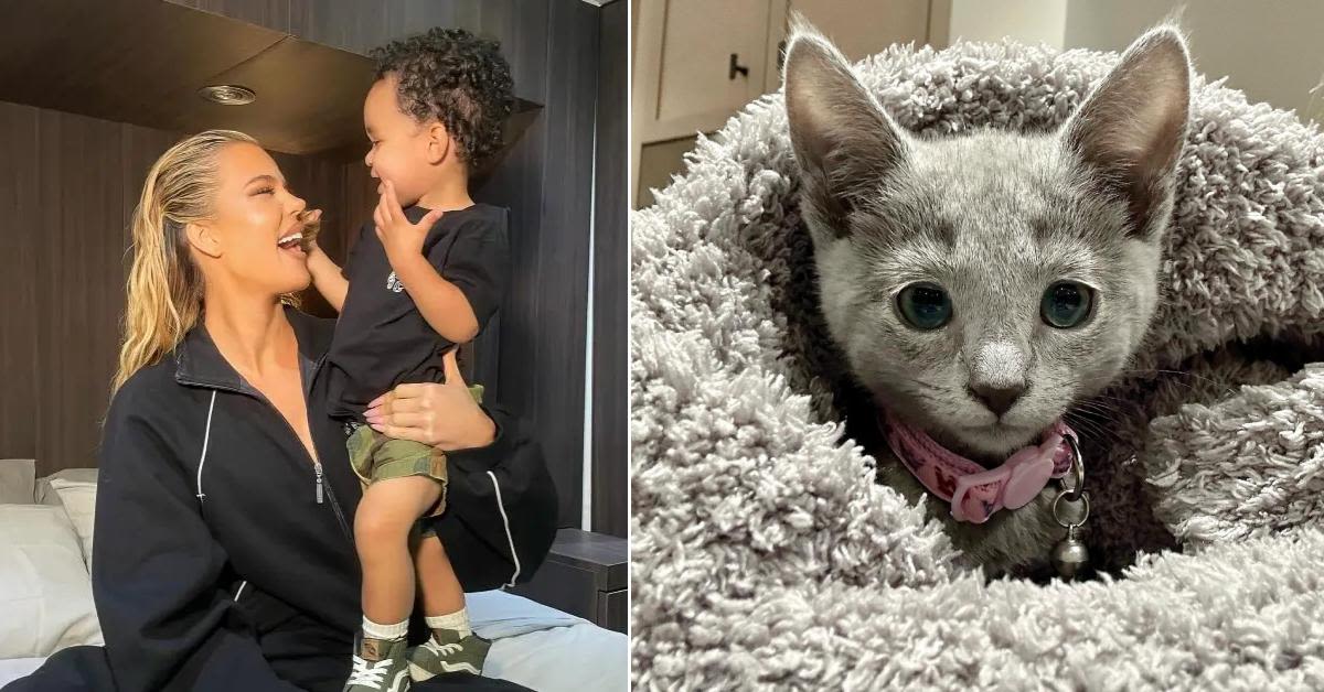 Khloé Kardashian's Son Tatum, 1, Repeats Everything His Mom Says While Playing With Family's New Kitten in Adorable Video: Watch