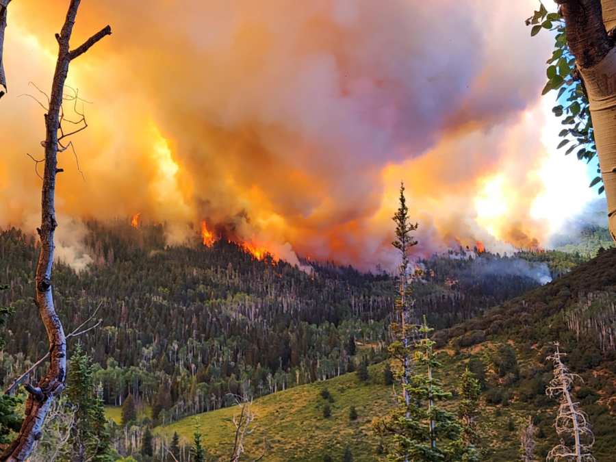 ‘Steep, rugged terrain’: Silver King Fire nearly triples in size