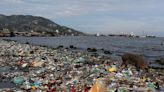 別讓大海成塑膠墳場！研究：2040年前海洋垃圾量恐增變3倍