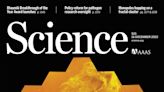 El debut del James Webb, el avance científico más importante del año