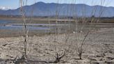 Los embalses del Júcar y el Segura pierden agua por tercera semana consecutiva