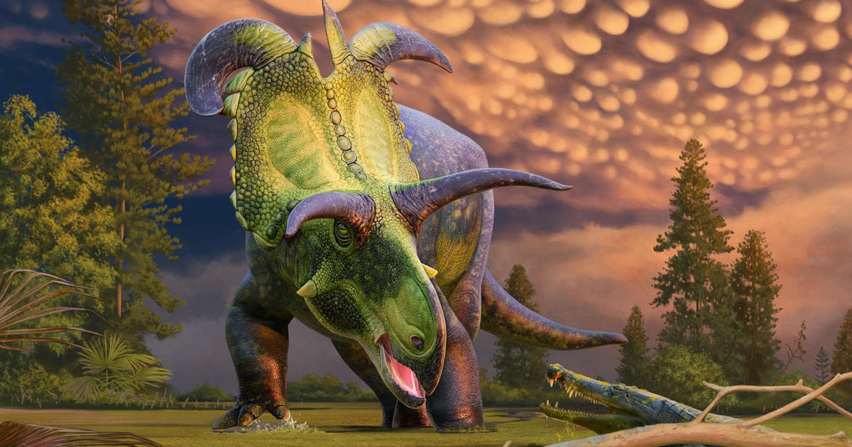 Find out why the Lokiceratops, a new dinosaur, was named by experts from Colorado and Utah after a Norse god