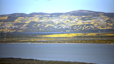 Wildflowers turn hills yellow behind a full Soda Lake at Carrizo Plain National Monument