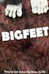 Bigfeet