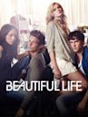 The Beautiful Life: TBL