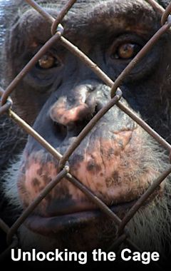 Unlocking the Cage