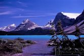 Bow Lake (Alberta)