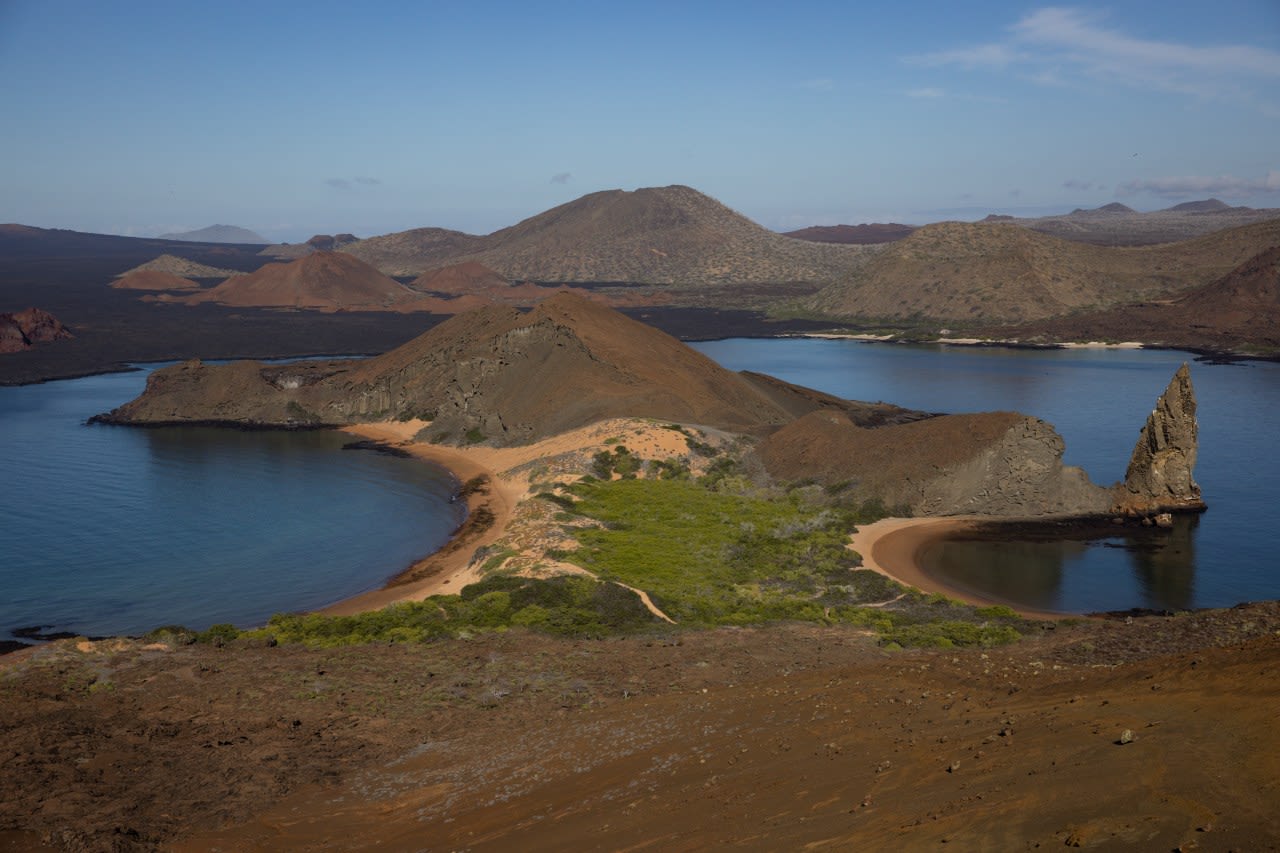 The Galapagos Islands and many of their unique creatures are at risk from warming waters