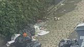 Couple who tidied up rubbish in the street are fined £1,200