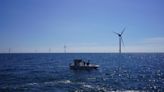 Beneath offshore wind turbines, researchers grow seafood and seaweed