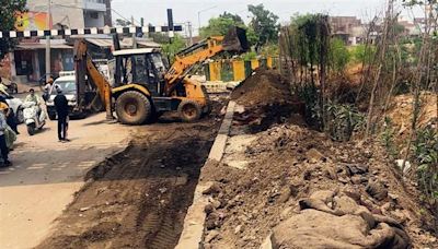 Saplings destroyed while cleaning Buddha Nullah in Peeru Banda Mohalla