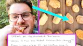 I've Been Obsessed With Chicken Nuggets Ever Since I Was A Kid — So I Taste-Tested And Ranked 8 Of The Most...