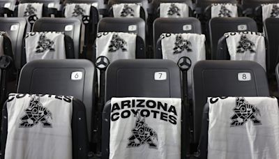 Coyotes Owner Meruelo Folding What’s Left of the NHL Franchise