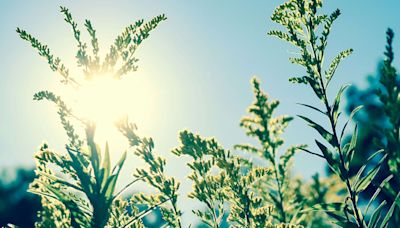 Météo : la chaleur et le beau temps font leur retour en France à partir de lundi