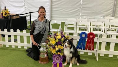 Climate protesters disrupt Westminster dog show agility course. ‘No dogs on a dead planet.’