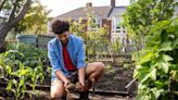 8 'easiest' vegetables to grow in your garden