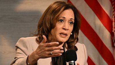 Watch: Harris Has Weird Low-Energy Response to Trump’s Migrant Theory